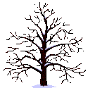 http://i10.servimg.com/u/10/06/86/69/th/arbres14.gif