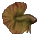 Halfmoon copper Halfmoon copper