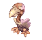 Vautour virevoltant Vautour virevoltant