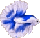 Halfmoon blue marble Halfmoon blue marble