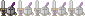 Ecuyer Ecuyer