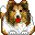 Sheltie de diamant Sheltie de diamant
