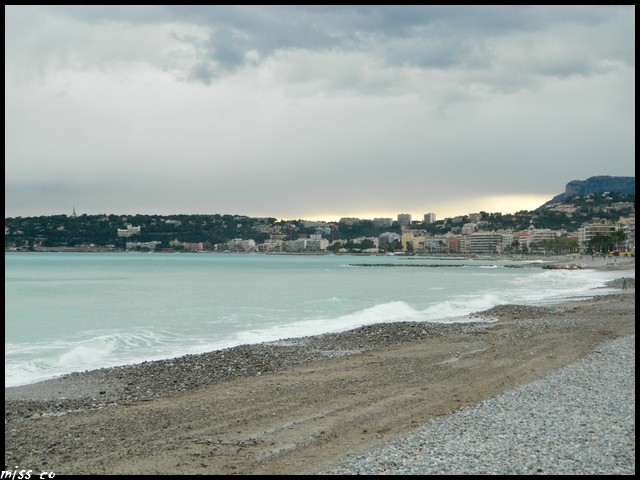dscn5221