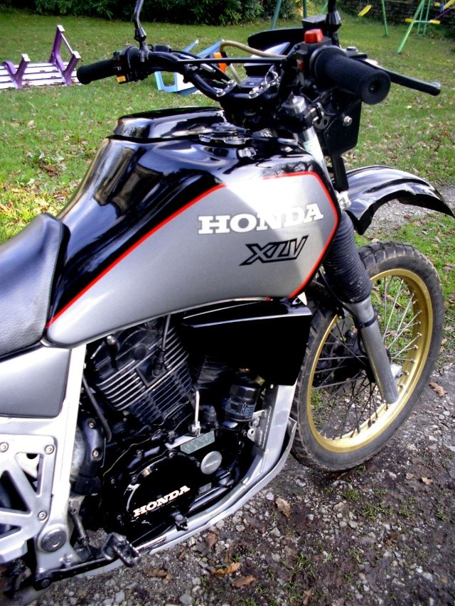 XLV 750 RD (19831988)...la petite histoire... données techniques