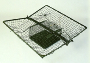 vf705510.jpg