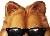 Webmaster & Responsable diffusion Webmaster & Responsable diffusion