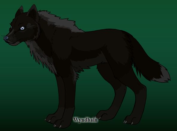 wolf2110.jpg